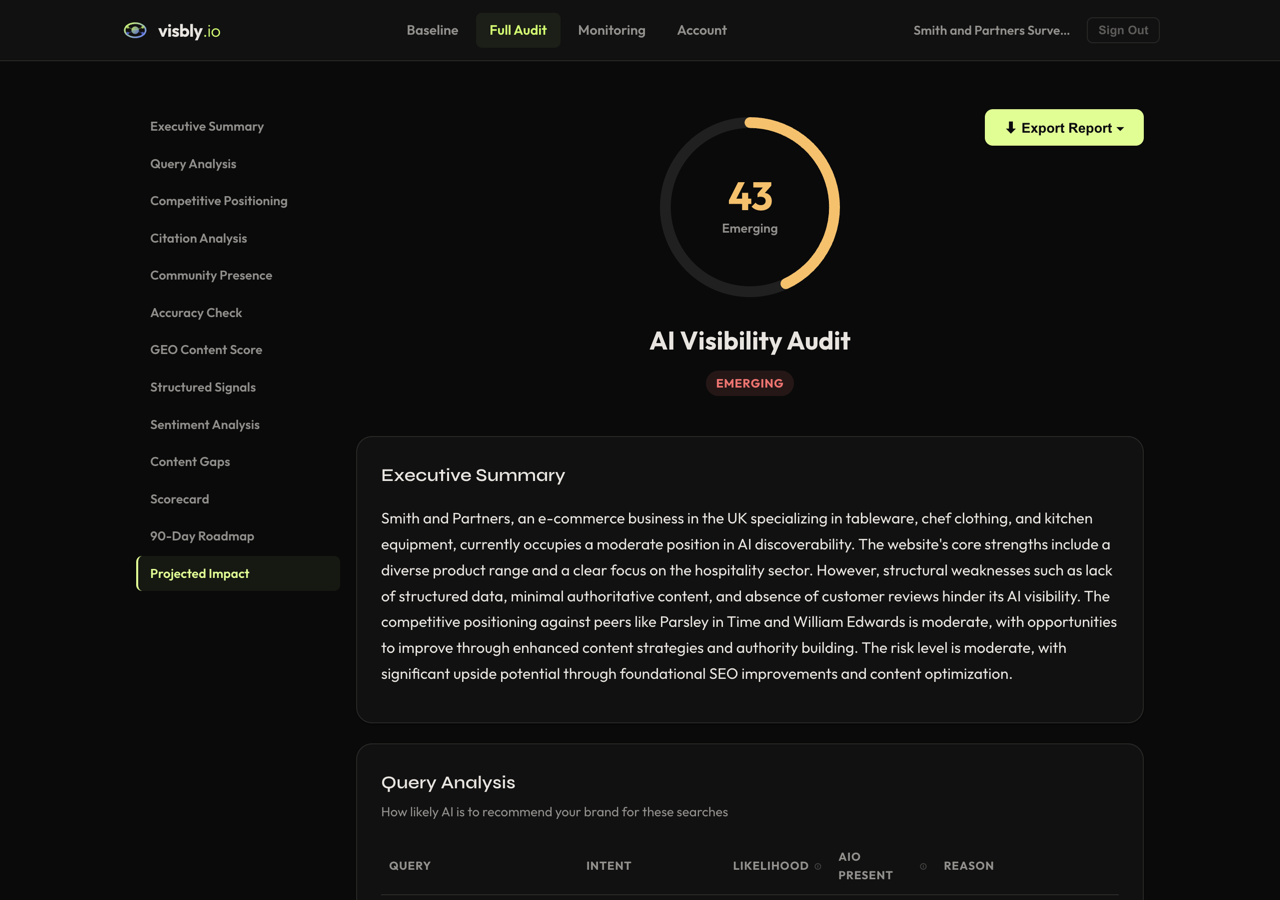 Visbly AI Visibility Audit Portal — score, executive summary, and competitive analysis